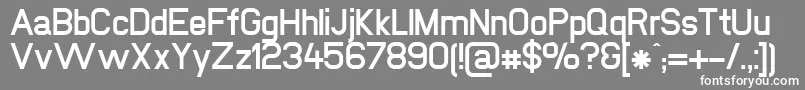 NewmediaBold Font – White Fonts on Gray Background