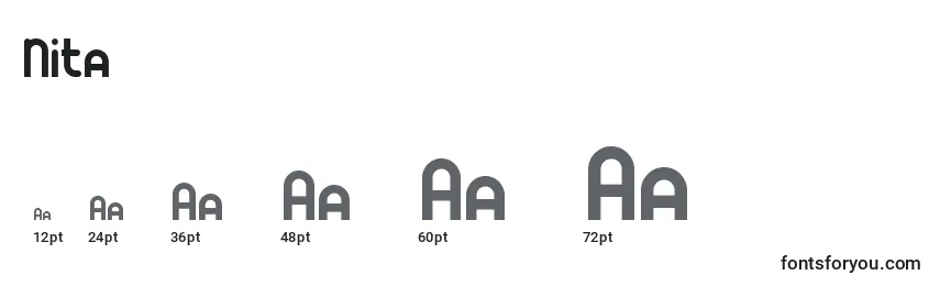 Размеры шрифта Nita