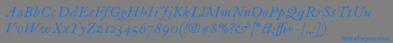 Шрифт ItcFoundersCaslon12Italic – синие шрифты на сером фоне