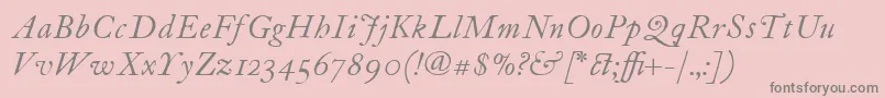 ItcFoundersCaslon12Italic Font – Gray Fonts on Pink Background