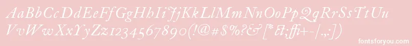 ItcFoundersCaslon12Italic Font – White Fonts on Pink Background