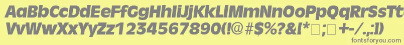 フォントMisceDisplaySsiItalic – 黄色の背景に灰色の文字