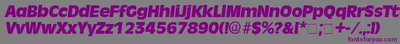 フォントMisceDisplaySsiItalic – 紫色のフォント、灰色の背景