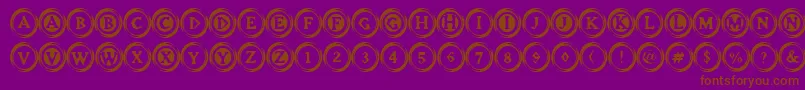 ElevatorButtonsTwo-Schriftart – Braune Schriften auf violettem Hintergrund