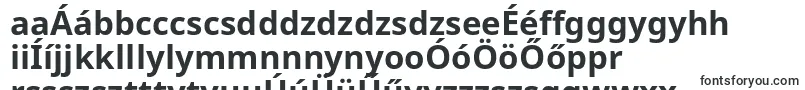 Шрифт Notosans ffy – венгерские шрифты