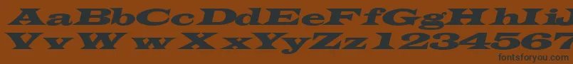 TransverseexpandedsskItalic Font – Black Fonts on Brown Background