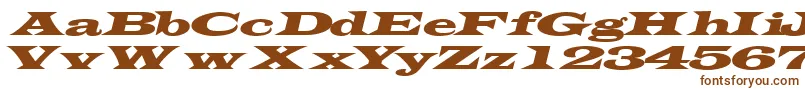 Шрифт TransverseexpandedsskItalic – коричневые шрифты на белом фоне