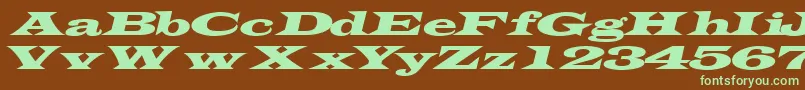 フォントTransverseexpandedsskItalic – 緑色の文字が茶色の背景にあります。