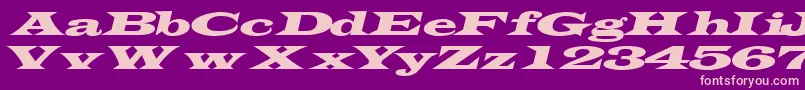 TransverseexpandedsskItalic Font – Pink Fonts on Purple Background