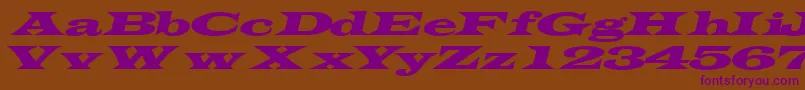 TransverseexpandedsskItalic Font – Purple Fonts on Brown Background