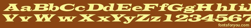 TransverseexpandedsskItalic-fontti – keltaiset fontit ruskealla taustalla