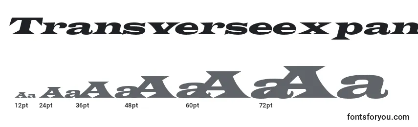 TransverseexpandedsskItalic Font Sizes