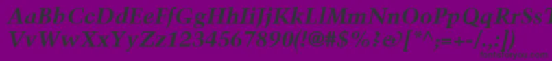 TrumpMediaevalLtBoldItalic Font – Black Fonts on Purple Background