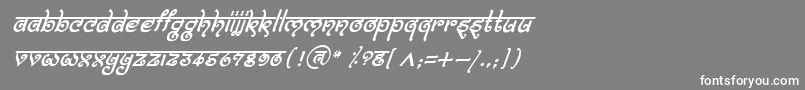 BitlingmokshItalic Font – White Fonts on Gray Background