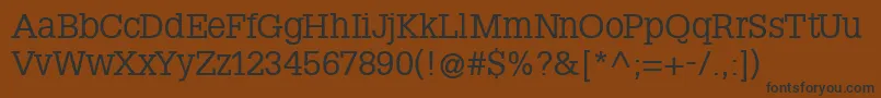 SteepslabMedium Font – Black Fonts on Brown Background