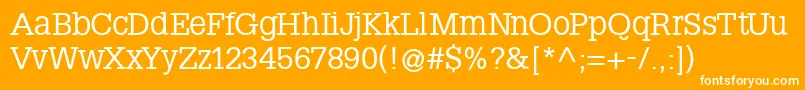SteepslabMedium Font – White Fonts on Orange Background