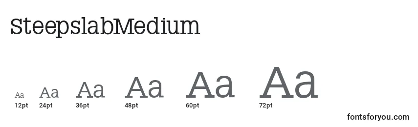 SteepslabMedium Font Sizes