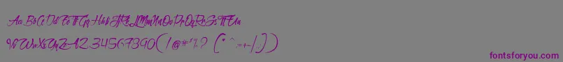 SanctuaireDuMachiniste Font – Purple Fonts on Gray Background