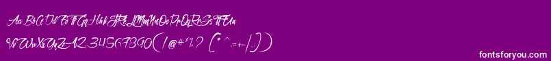 SanctuaireDuMachiniste Font – White Fonts on Purple Background