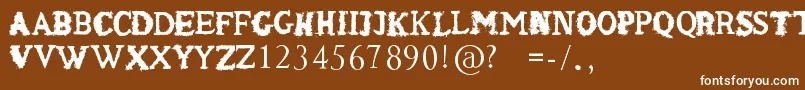 ShakenCoffeeRegular Font – White Fonts on Brown Background