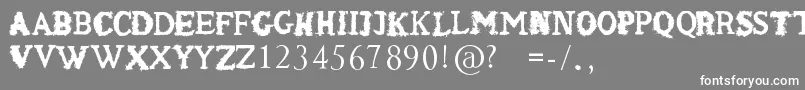Шрифт ShakenCoffeeRegular – белые шрифты на сером фоне