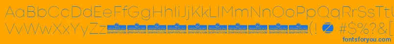 CodecColdThinTrial Font – Blue Fonts on Orange Background