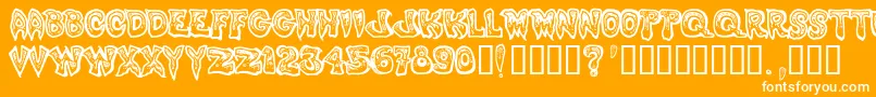 Phlegm1 Font – White Fonts on Orange Background