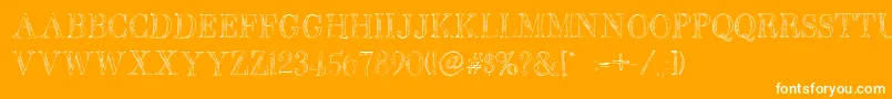 BbPetieBoyLight Font – White Fonts on Orange Background