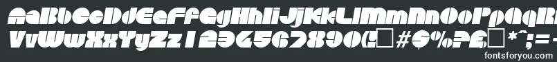 フォントDiscoItalic – 白い文字