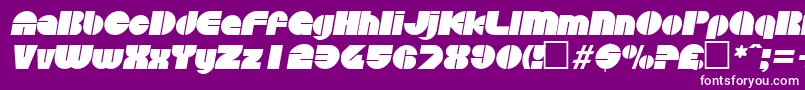 フォントDiscoItalic – 紫の背景に白い文字