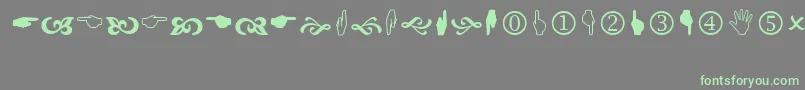Wingdings2 Font – Green Fonts on Gray Background