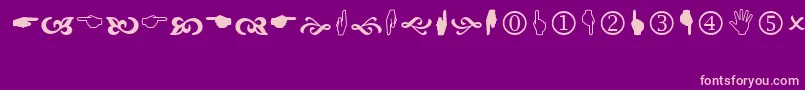 Wingdings2-Schriftart – Rosa Schriften auf violettem Hintergrund