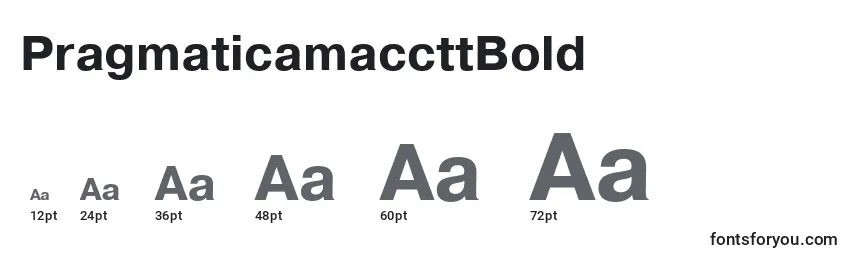 Размеры шрифта PragmaticamaccttBold
