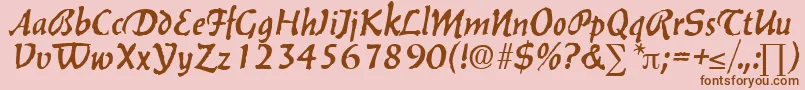 BalzacDb Font – Brown Fonts on Pink Background