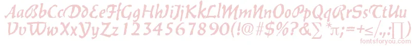 BalzacDb Font – Pink Fonts on White Background