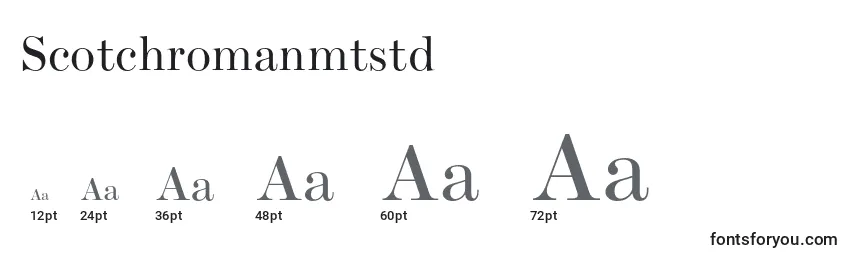 Scotchromanmtstd Font Sizes