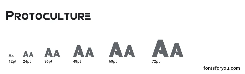 Protoculture Font Sizes