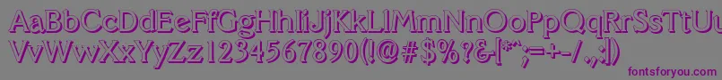 VeracruzshadowRegular Font – Purple Fonts on Gray Background