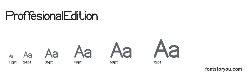 ProffesionalEdition Font Sizes
