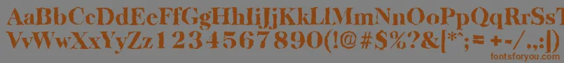 BaskervillerandomHeavyRegular Font – Brown Fonts on Gray Background