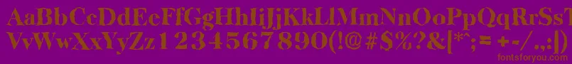 BaskervillerandomHeavyRegular Font – Brown Fonts on Purple Background