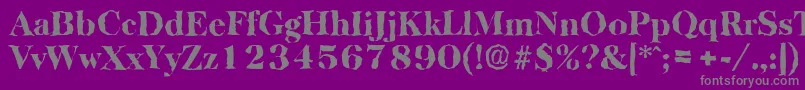 BaskervillerandomHeavyRegular Font – Gray Fonts on Purple Background