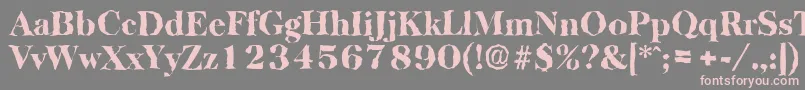 BaskervillerandomHeavyRegular Font – Pink Fonts on Gray Background