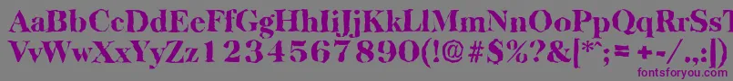 BaskervillerandomHeavyRegular Font – Purple Fonts on Gray Background