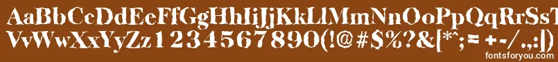 BaskervillerandomHeavyRegular Font – White Fonts on Brown Background