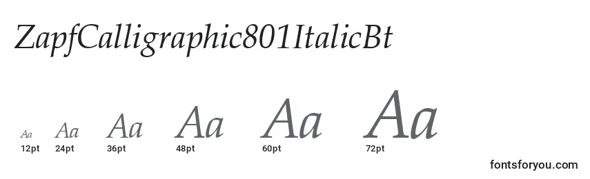 Größen der Schriftart ZapfCalligraphic801ItalicBt
