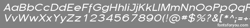 FlorencesansExpItalic Font – White Fonts on Gray Background