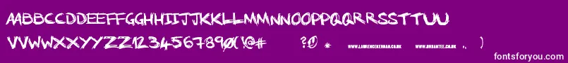 NoRunningInTheHalls Font – White Fonts on Purple Background