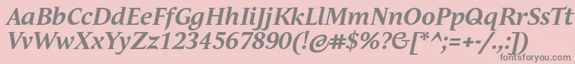 AndulkaTextProBoldItalic Font – Gray Fonts on Pink Background