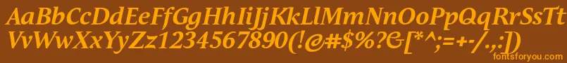 AndulkaTextProBoldItalic Font – Orange Fonts on Brown Background